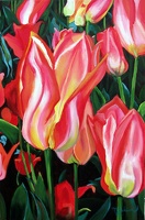 Commemorative Tulips