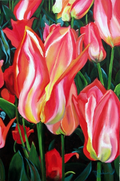 Commemorative-Tulips.jpg