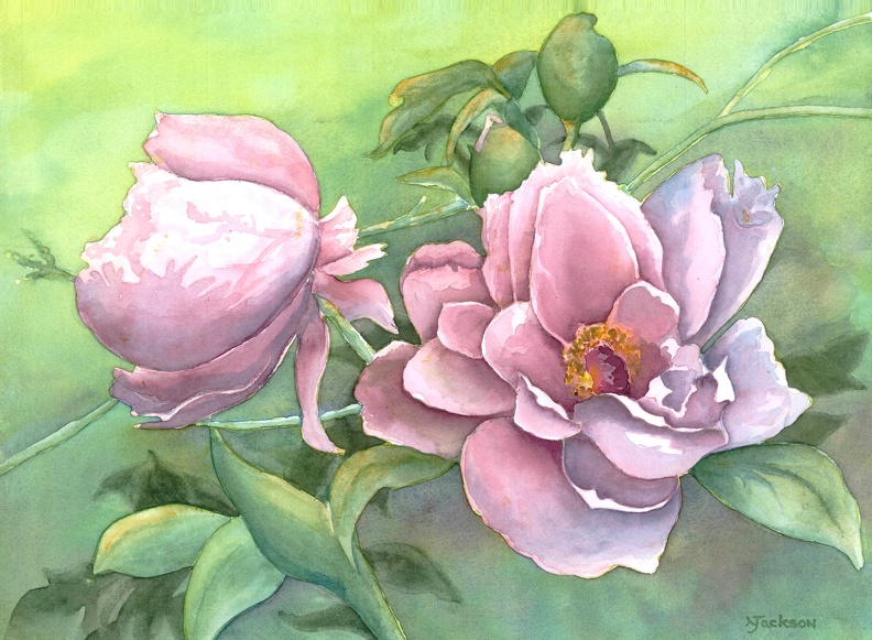 Prize-Roses.jpg